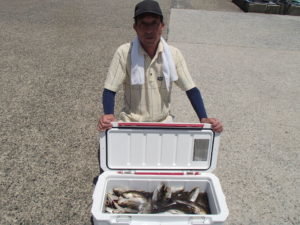 マアジ・イサキ