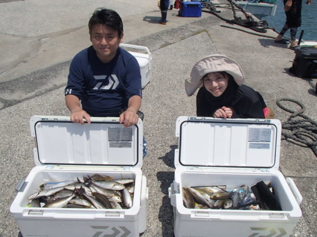 マアジ・イサキ