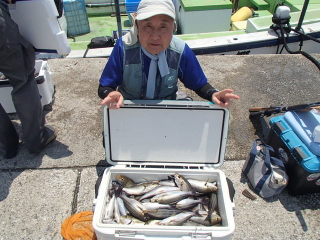 マアジ・イサキ