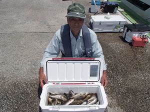 マアジ・イサキ