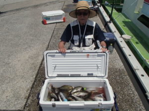 マアジ・イサキ