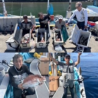 マダイ・メジナ・イサキ・グルクマ