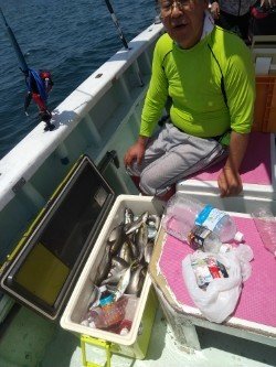 アジ(マアジ)・イサキ