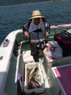 アジ(マアジ)・イサキ