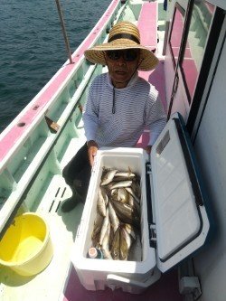 アジ(マアジ)・イサキ