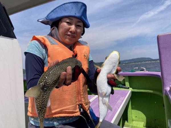 ショウサイフグ