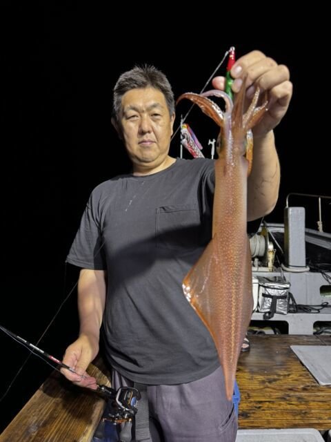 イカ(ヤリイカ)