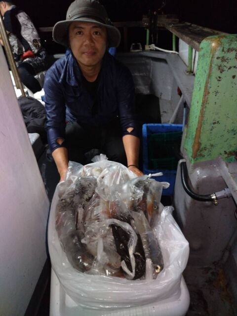 イカ(ヤリイカ)