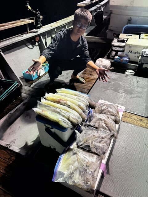 イカ(ヤリイカ)