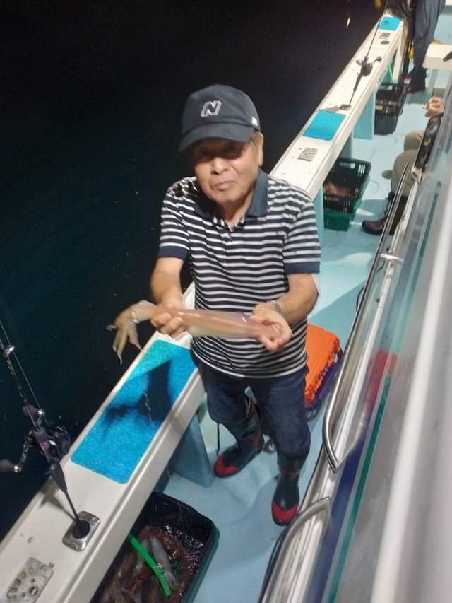 イカ(ヤリイカ)