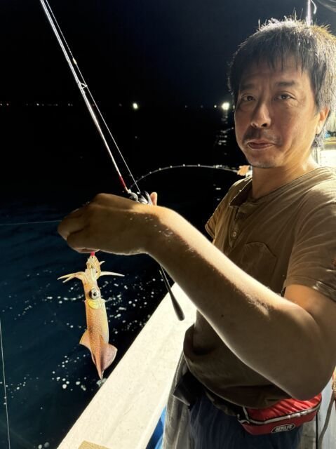 マイカ(ケンサキイカ)