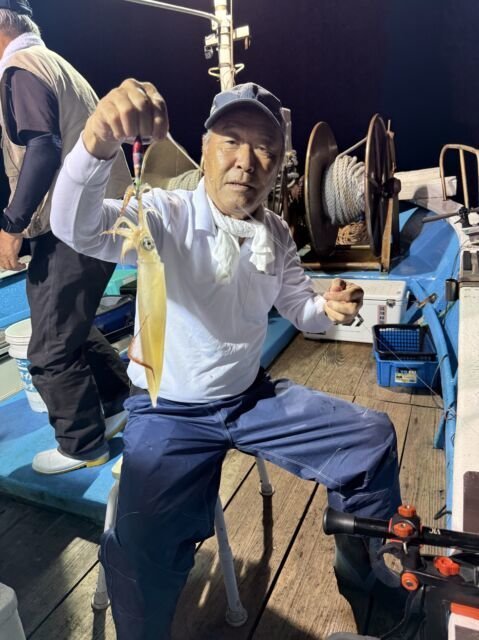 マイカ(ケンサキイカ)