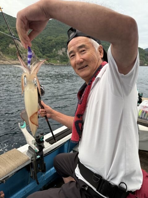 マイカ(ケンサキイカ)