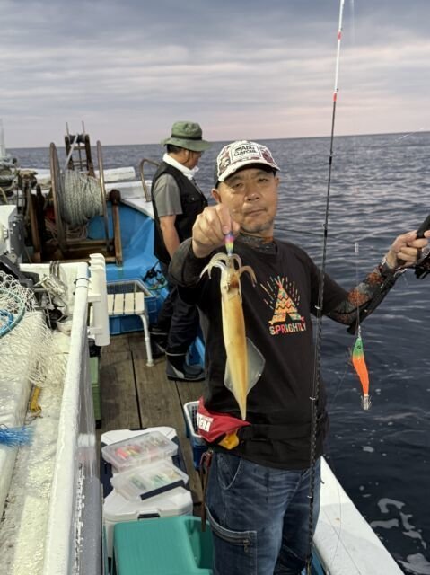 マイカ(ケンサキイカ)