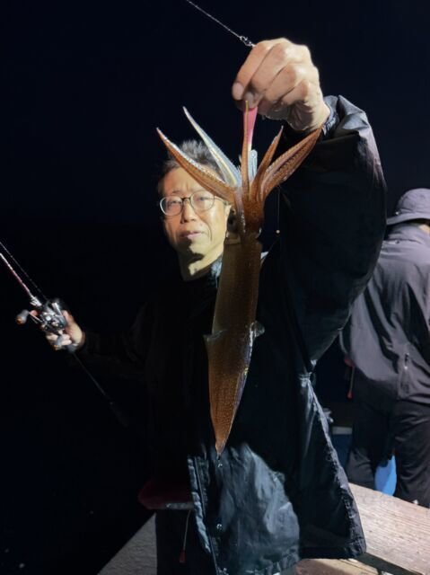 マイカ(ケンサキイカ)