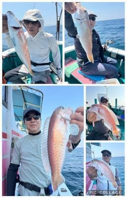 アマダイ(アカアマダイ)