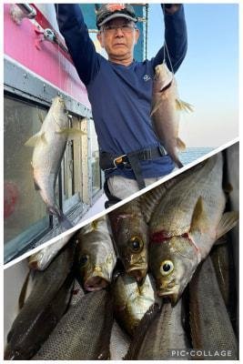 イサギ(イサキ)