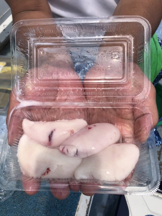 ショウサイフグ