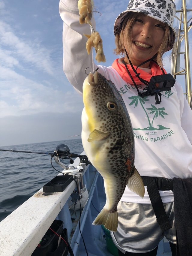 ショウサイフグ