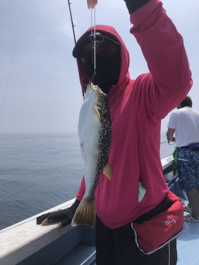 ショウサイフグ