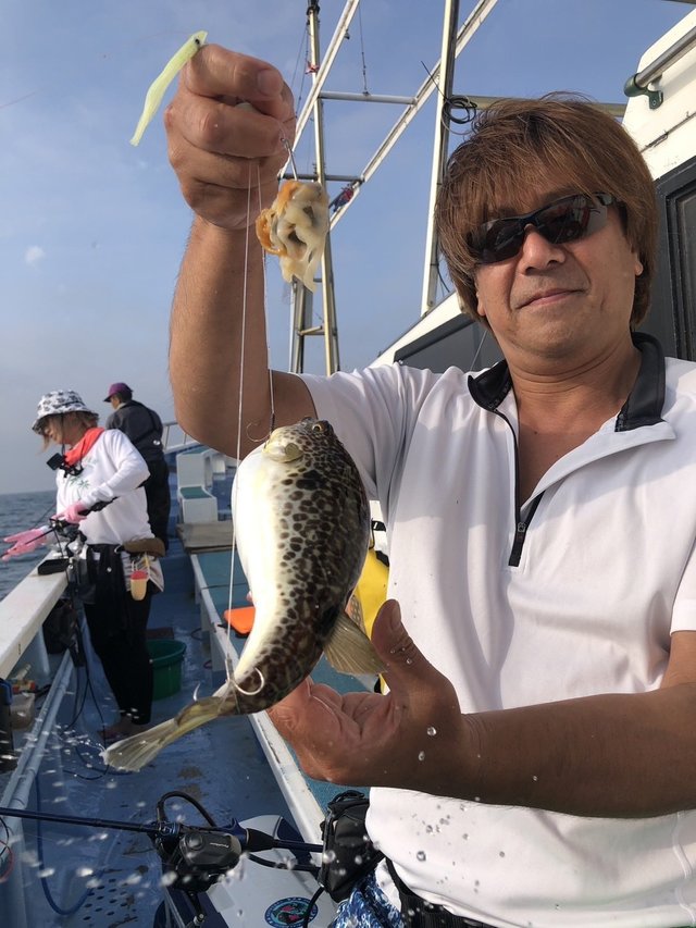 ショウサイフグ