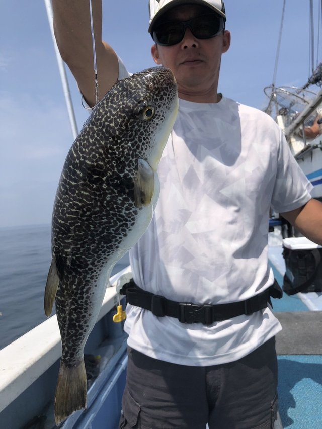 ショウサイフグ