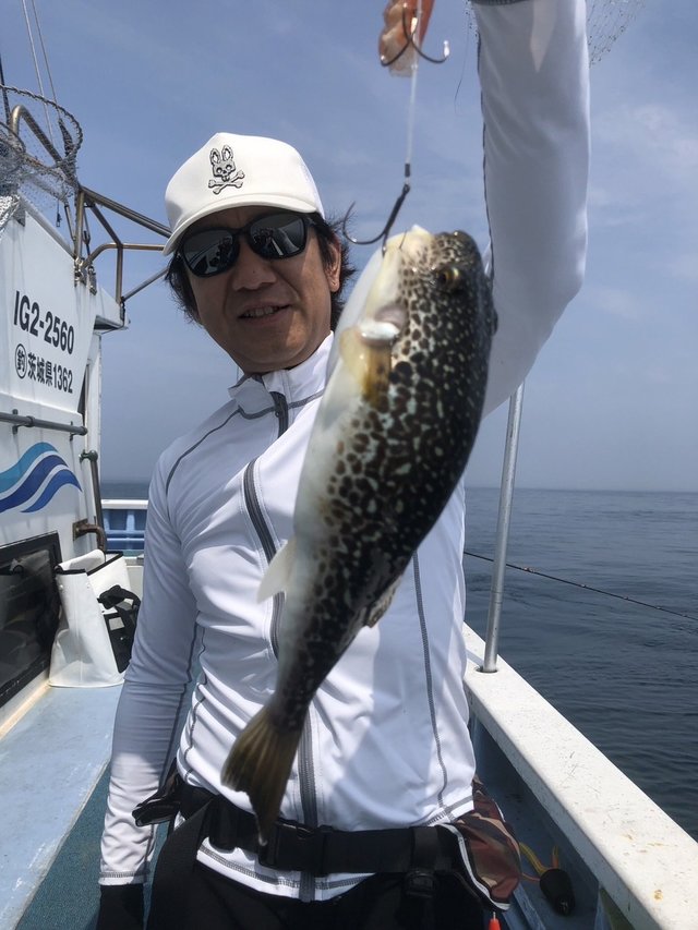 ショウサイフグ