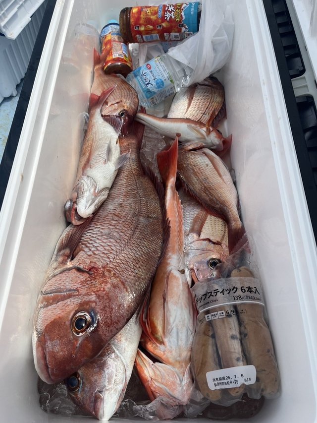 ハナダイ(チダイ)