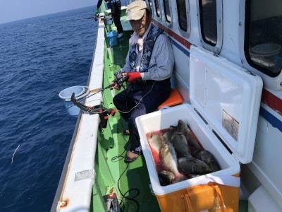 イサギ(イサキ)