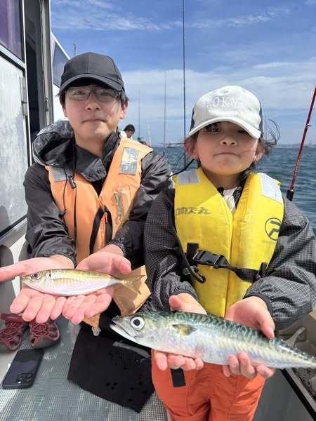 アジ(マアジ)・サバ(ゴマサバ)