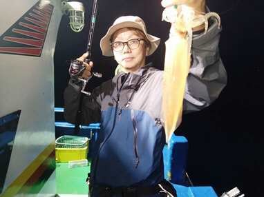 マイカ(ケンサキイカ)