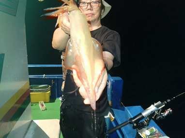 マイカ(ケンサキイカ)