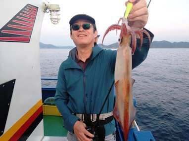 マイカ(ケンサキイカ)