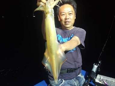 マイカ(ケンサキイカ)