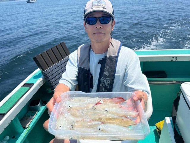 マイカ(ケンサキイカ)