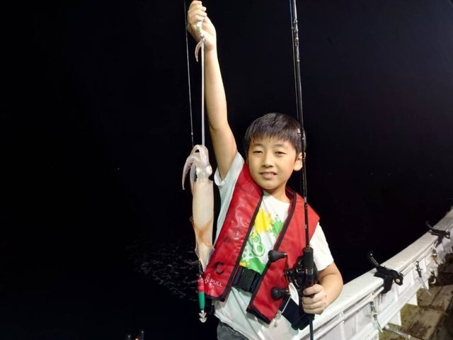 マイカ(ケンサキイカ)