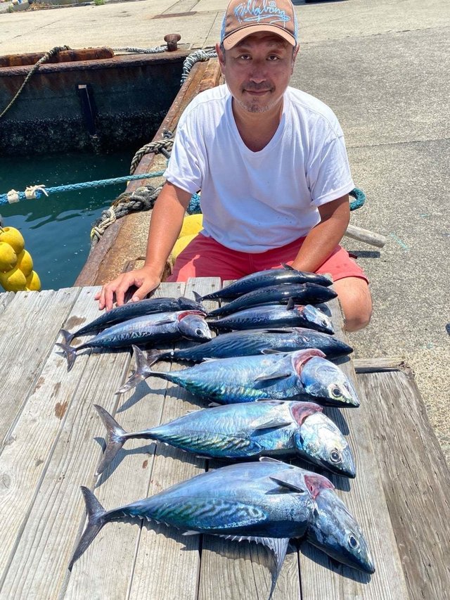 スマガツオ(スマ)