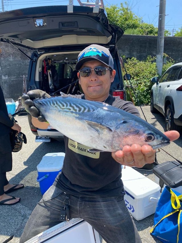 スマガツオ(スマ)