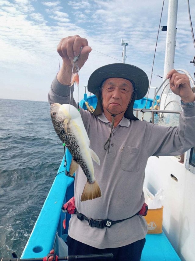 フグ(ショウサイフグ)