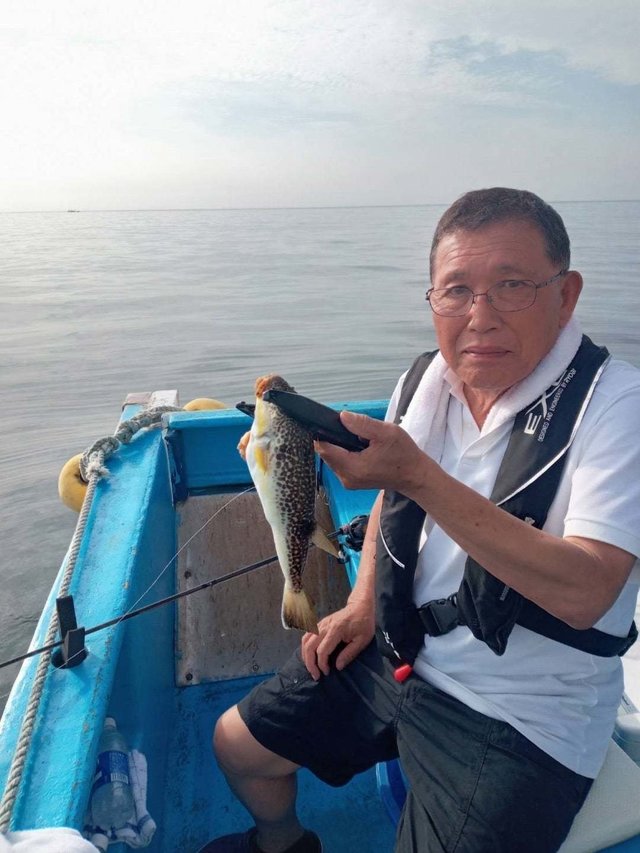 フグ(ショウサイフグ)