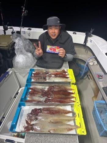 マイカ(ケンサキイカ)