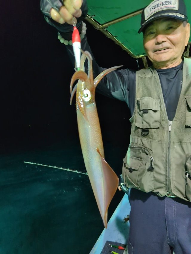 イカ(ケンサキイカ)