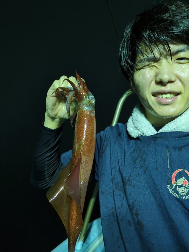 イカ(ケンサキイカ)