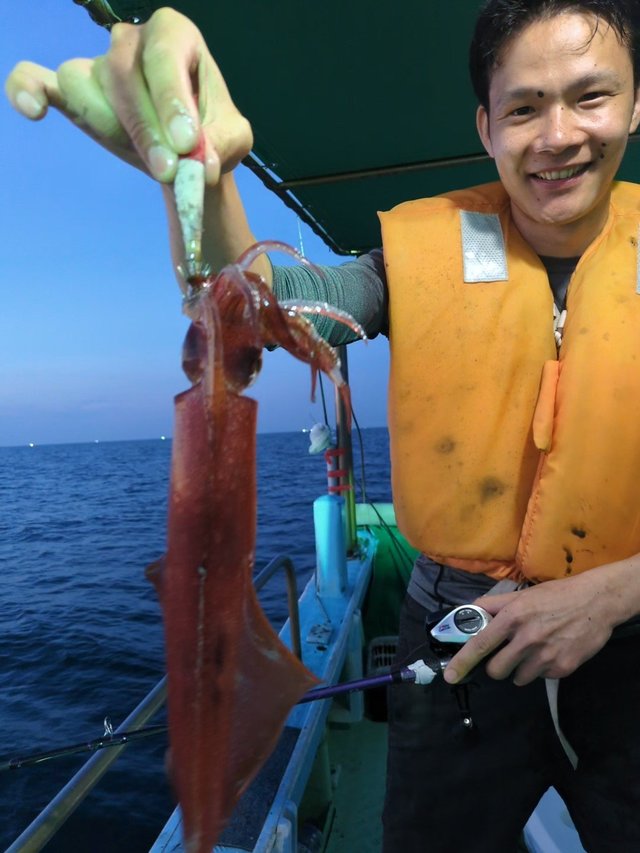 イカ(ケンサキイカ)