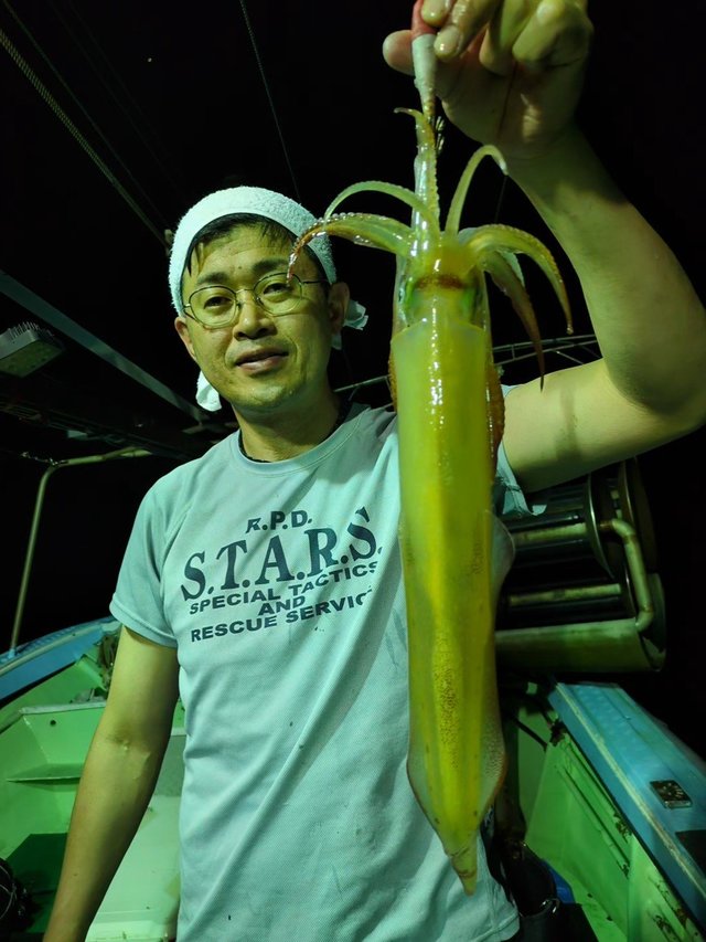 イカ(ケンサキイカ)