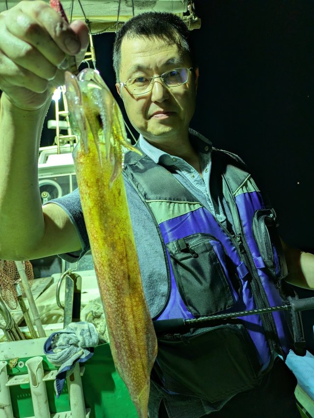 イカ(ケンサキイカ)