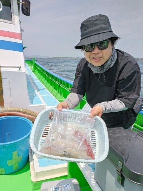 マルイカ(ケンサキイカ)