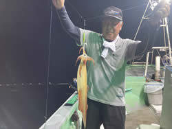 アカイカ(ケンサキイカ)