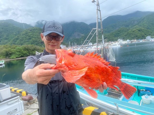 カンコ(ウッカリカサゴ)