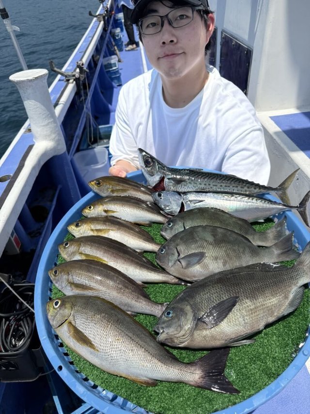 イサキ・サバ(ゴマサバ)